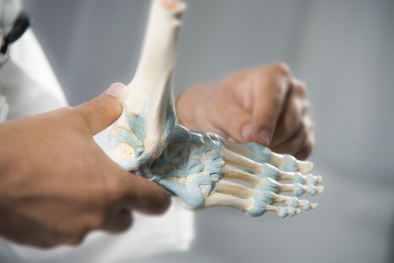 Orthopädie Fuß