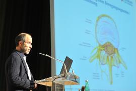 Volkskrankheit Rückenschmerzen - darüber informierte OA Dr. Stephan Koch