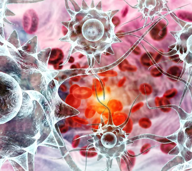 Bild rote Blutkörperchen