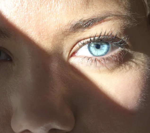 Augen