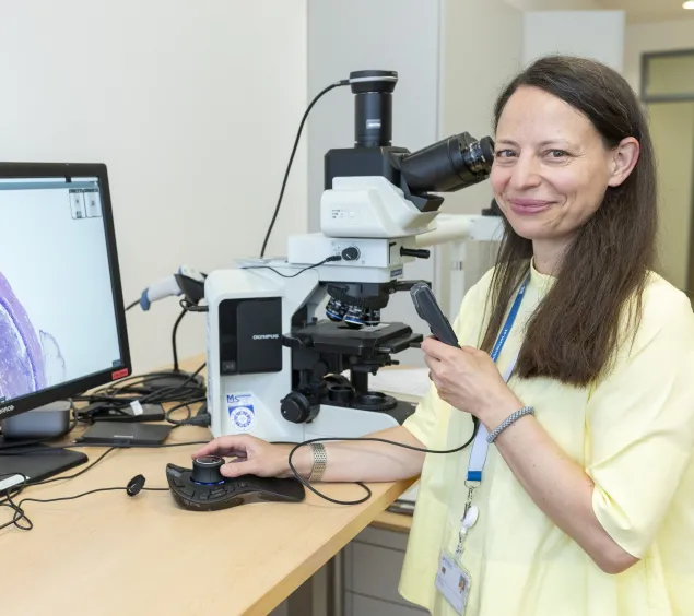 Klinische Pathologie