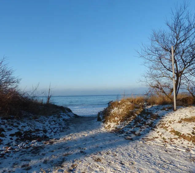 Winterlandschaft/Angebote für Mitarbeiter