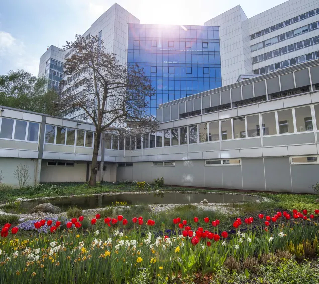 Klinikum Wels-Grieskirchen Innenhof am Standort Wels