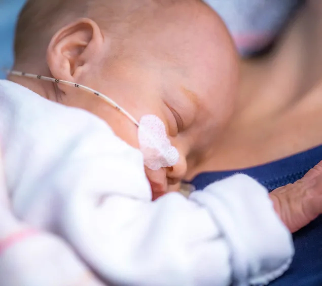 Eltern‐Kind‐Bindung