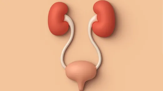 Bild zu Urologie Update