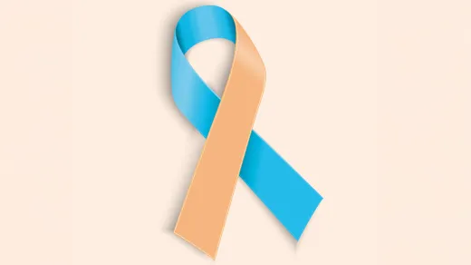 Bild Schleife blau/orange