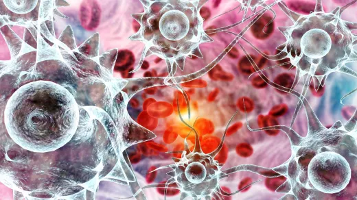 Bild rote Blutkörperchen