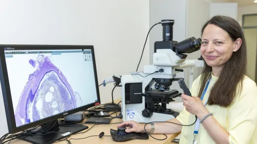 Klinische Pathologie