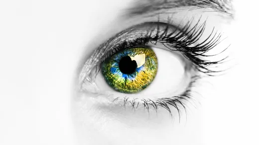 Auge, Quelle: Victoria Shapiro/Shutterstock.com