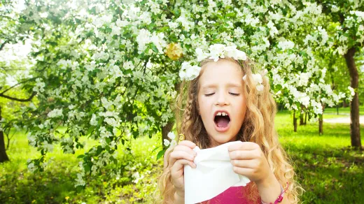 Allergien, Quelle: Gladskikh Tatiana/Shutterstock.com