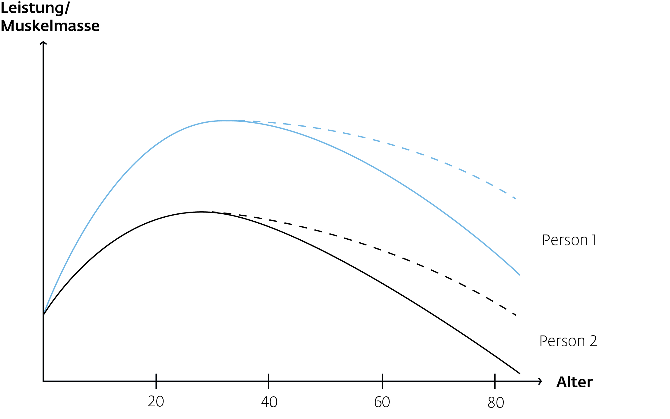 Grafik Muskelabbau